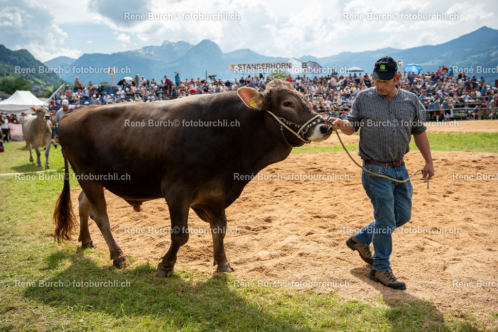 RB_03499 | René Burch leidenschaftlicher Fotograf aus Kerns in Obwalden.  Hier finden sie Sport, Landschaft und Natur Fotografie.
 - Realisiert mit Pictrs.com