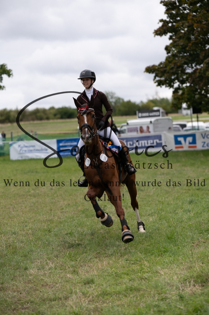 A7V05626 | Pferdefotograf