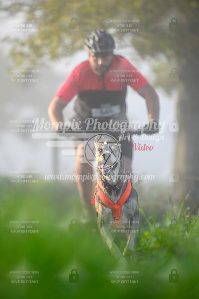 MompixPhotography_20TSB_E3_Bike-88 | PayLife