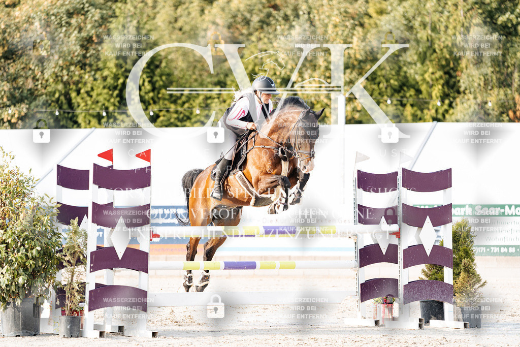 CK903444 | Turnierfotografie Pferdefotografie Trier Rheinland-Pfalz Pferdesport Reitsport Tierfotografie Sportfotografie Pferdevideo Pferdevideografie Equestrianvideography equestrianphotography  - Realisiert mit Pictrs.com