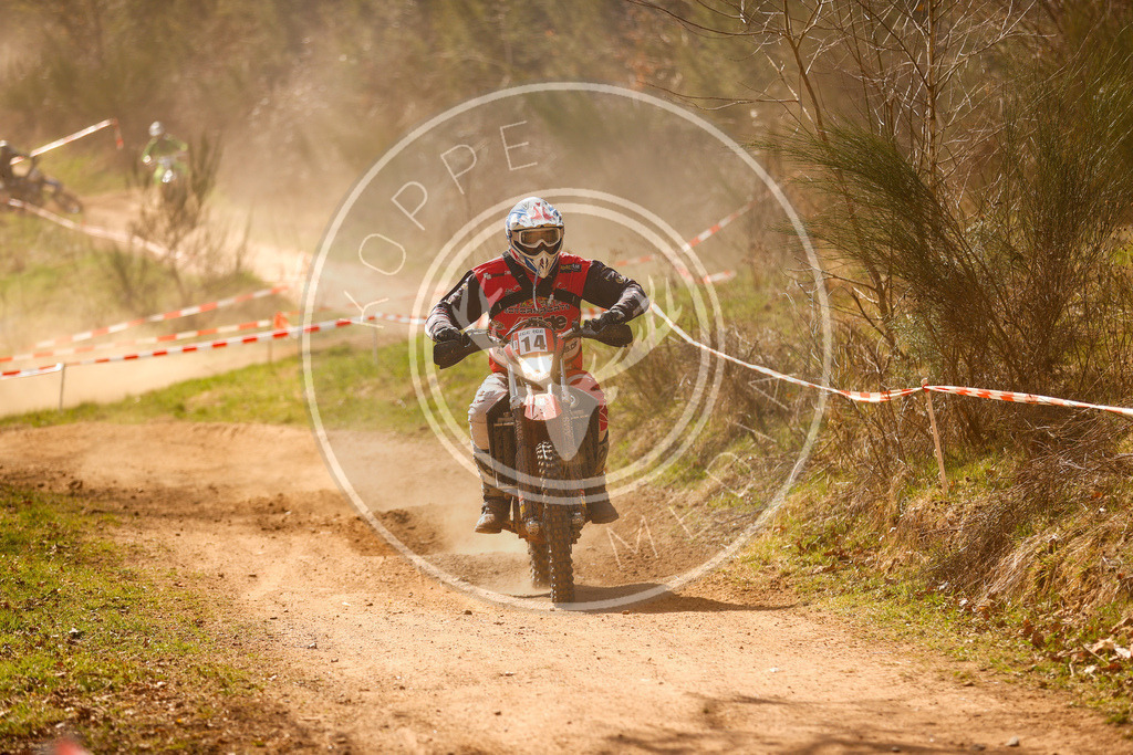 MernesIGE25_Lauf3-150 | koppe-media