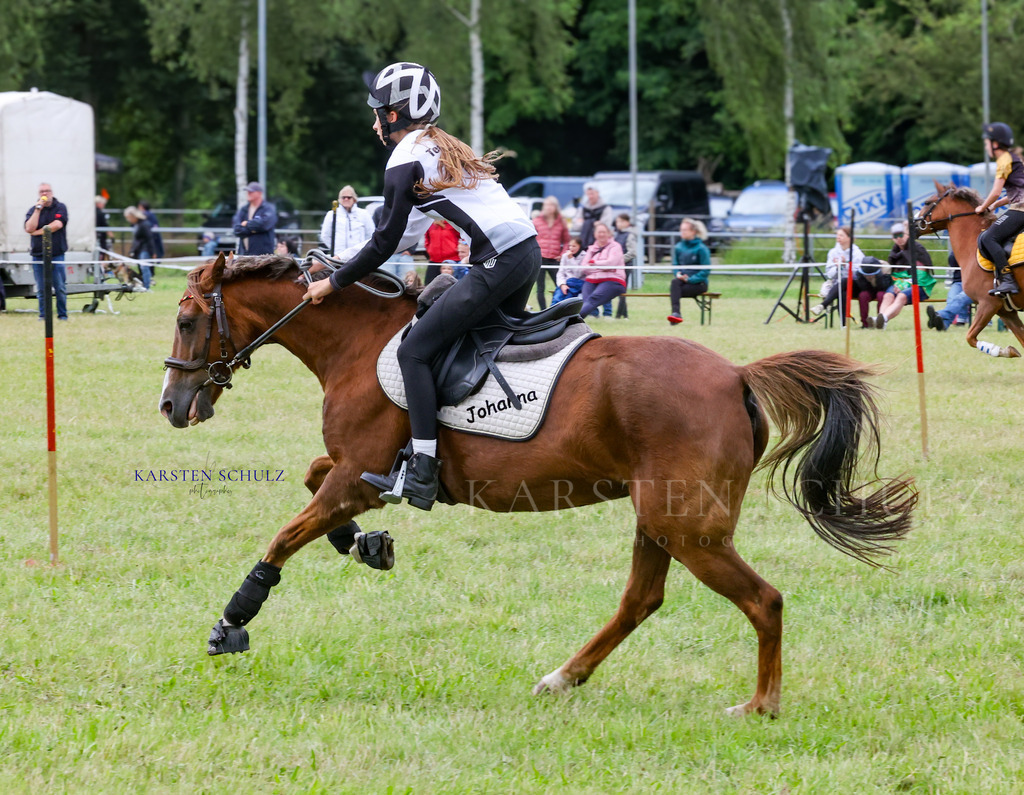 1B3A1645 | Reitsport Reiten