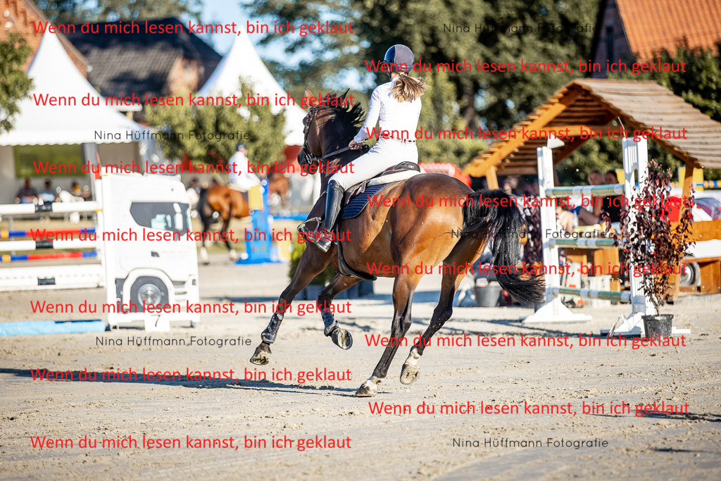 BK1A8409 | Turnierbilder Turnierfotos Nina Hüffmann Turnierfotografie Pferdefotografie Tierzeichnung Haustierzeichnung Pferdezeichnung Hundezeichnung Videograf  - Realisiert mit Pictrs.com
