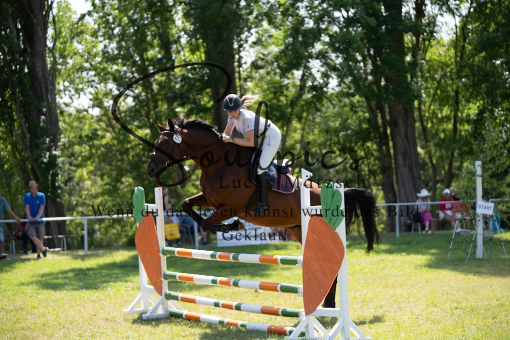 A7V06427 | Pferdefotograf