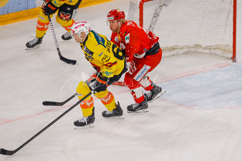 EHCB vs SCB 20260110_wb-3044 | Sportbilder, Sportfotograf, Hochzeits- und Eventfotografin, Flugshows, Portraits und Tiershooting, Aviation, Downhill, Nationalleague, Swissleague, International