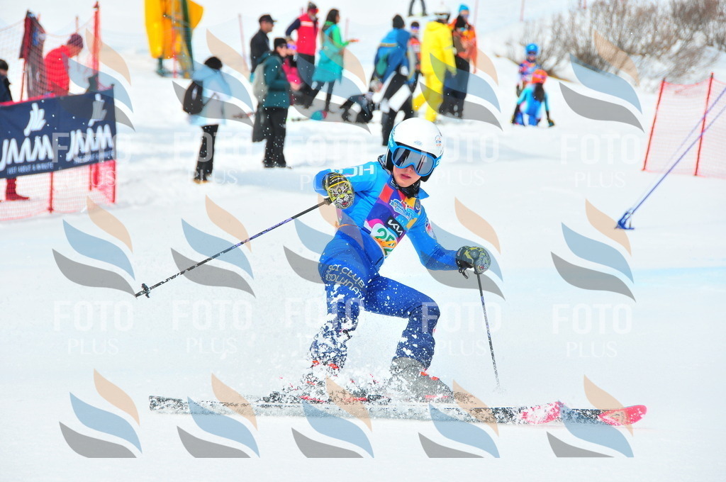 DSC_2341 | holidayphoto