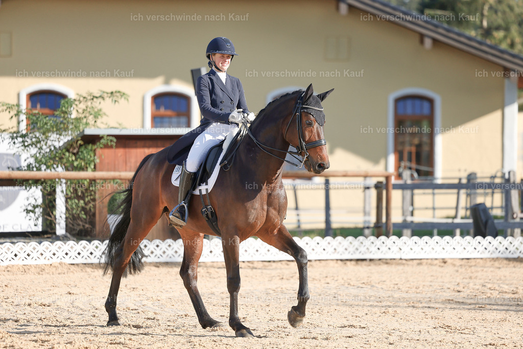 09_1-155-DRESSUR  S_  -StoibPH-5578 | working equitationturnier fotograf videograf stoibphotography marixx film working equitation deutschland reitsport turnierfotografie eventfotografie equestrian events