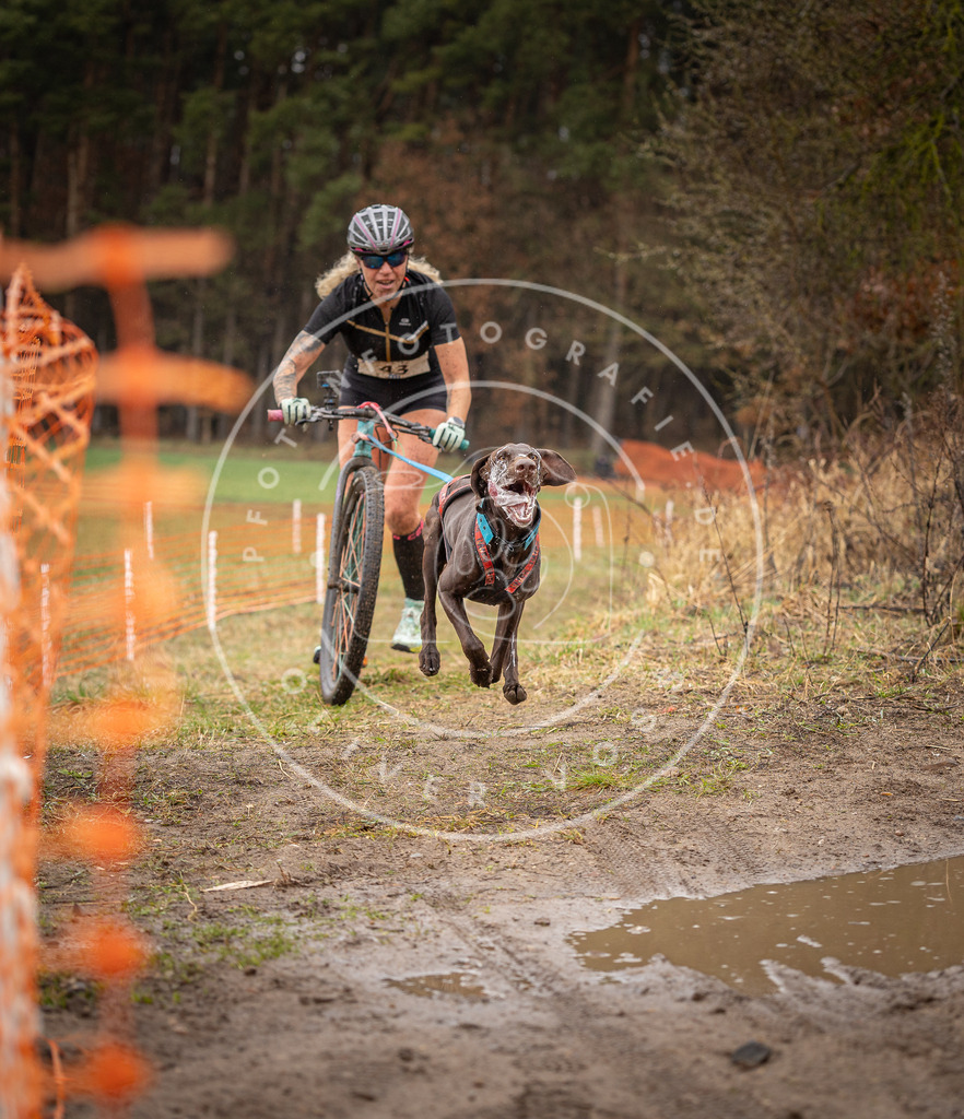 DV3A9286 | Hundefotografie, Tierfotograf, Pfotenfotografie, Fotoshooting Hund, Hunde Portrait, Hundesport, Hundeportraits, Heideshooting, Hunde, Sportfotograf, Hundefotograf, Turnierhundsport, THS,  - Realisiert mit Pictrs.com