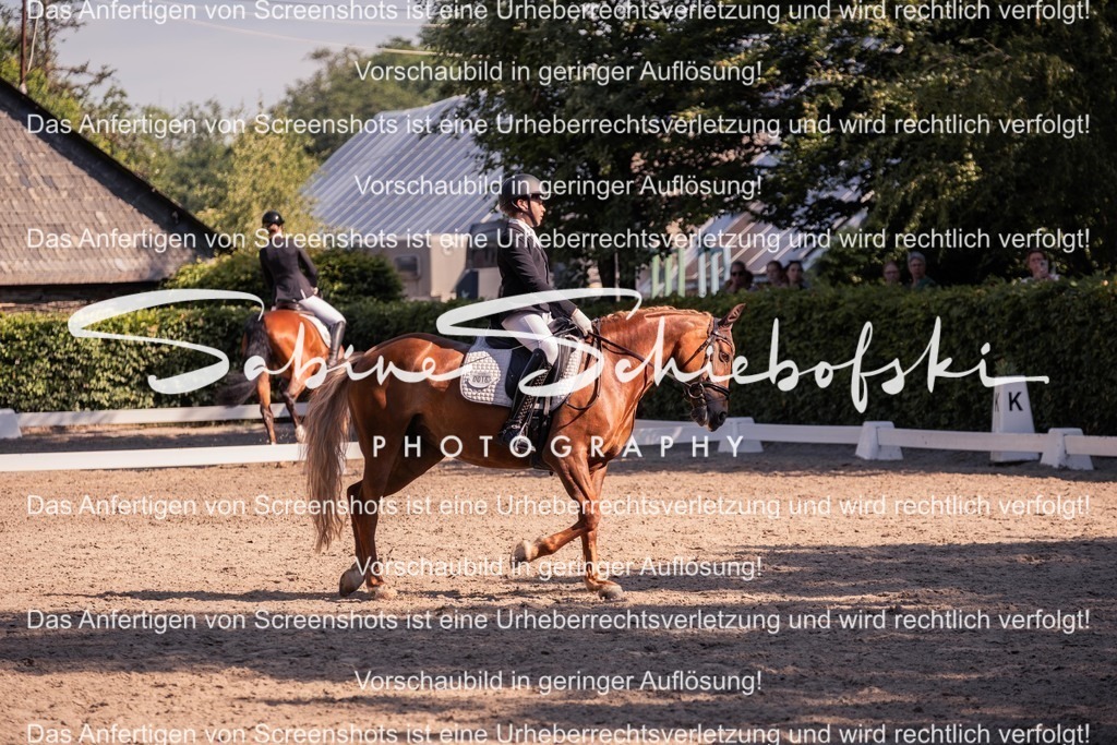 2025_05_31_DSCF2985 | People- und Tierfotografie, Imageaufnahmen, Veranstaltungsfotografie und Wandbilder aus der Natur ★ Made in Germany ✔️ Druck + Downloads ✔️ Naturfotografie in Top Qualität ★ schneller Versand, weltweite Lieferung! - Realisiert mit Pictrs.com