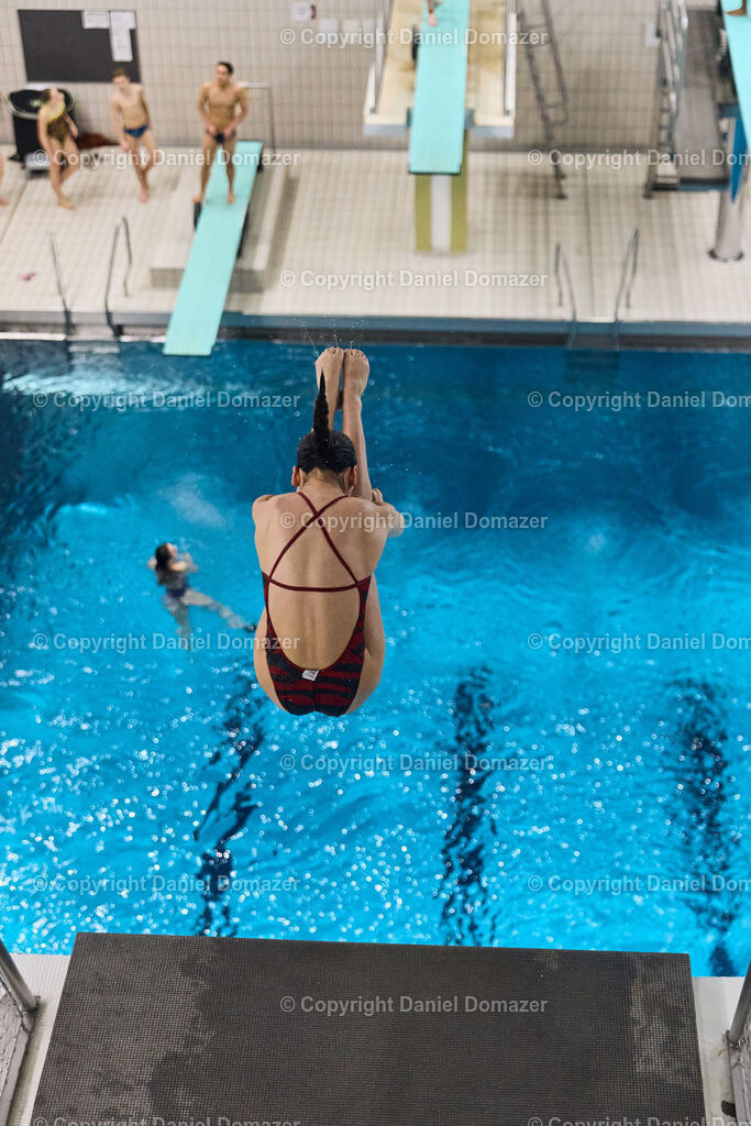 International Youth Diving Meet 2025 | International Youth Diving Meet 2025 in Dresden. Day 1 of the Event, 2025-04-23 - Realisiert mit Pictrs.com