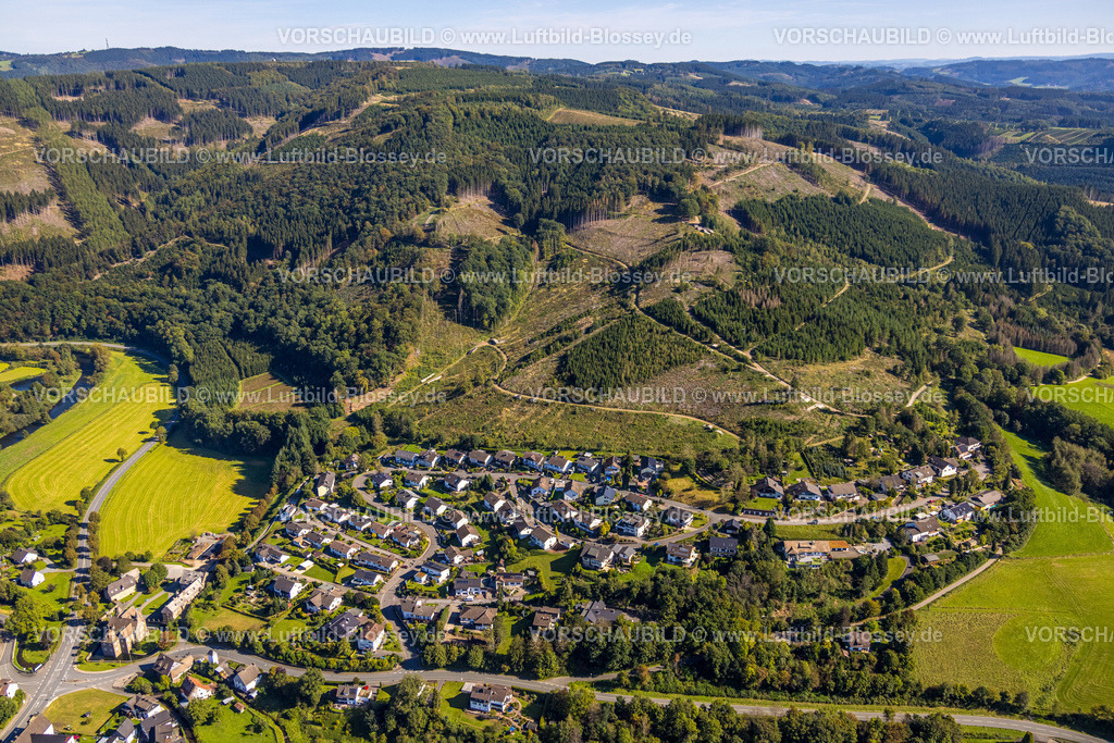 Finnentrop230908501 | Luftbild, Wohngebiet Mühlenstraße und Schloss Lenhausen Wasserschloss, Waldschäden, Lenhausen, Finnentrop, Sauerland, Nordrhein-Westfalen, Deutschland