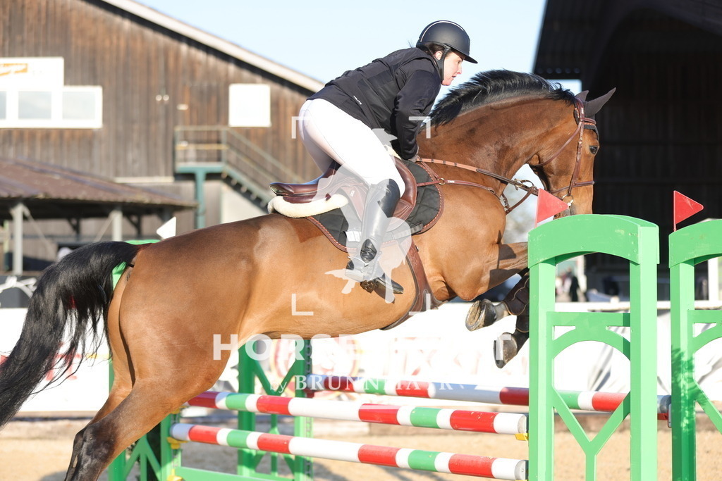 0P6A8971 | Willkommen bei Brunnmayr - Design & Fotografie – Ihrem Spezialisten für Reitturniere und Pferdeveranstaltungen in Oberösterreich, Salzburg und Bayern! Seit über 17 Jahren sind wir leidenschaftlich dabei.