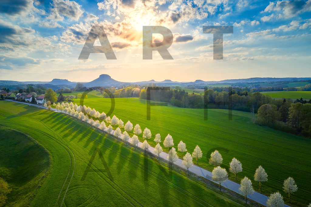 Ein Hans Fineart Original | Entdecke die Kunst von Hans Fineart - Fotografien für dein Zuhause. Verwandle deine Wände mit einzigartigen Kunstwerken und bringe die Schönheit der Welt in dein Leben. Bestelle jetzt und schaffe einen Ort der Inspiration und Eleganz.