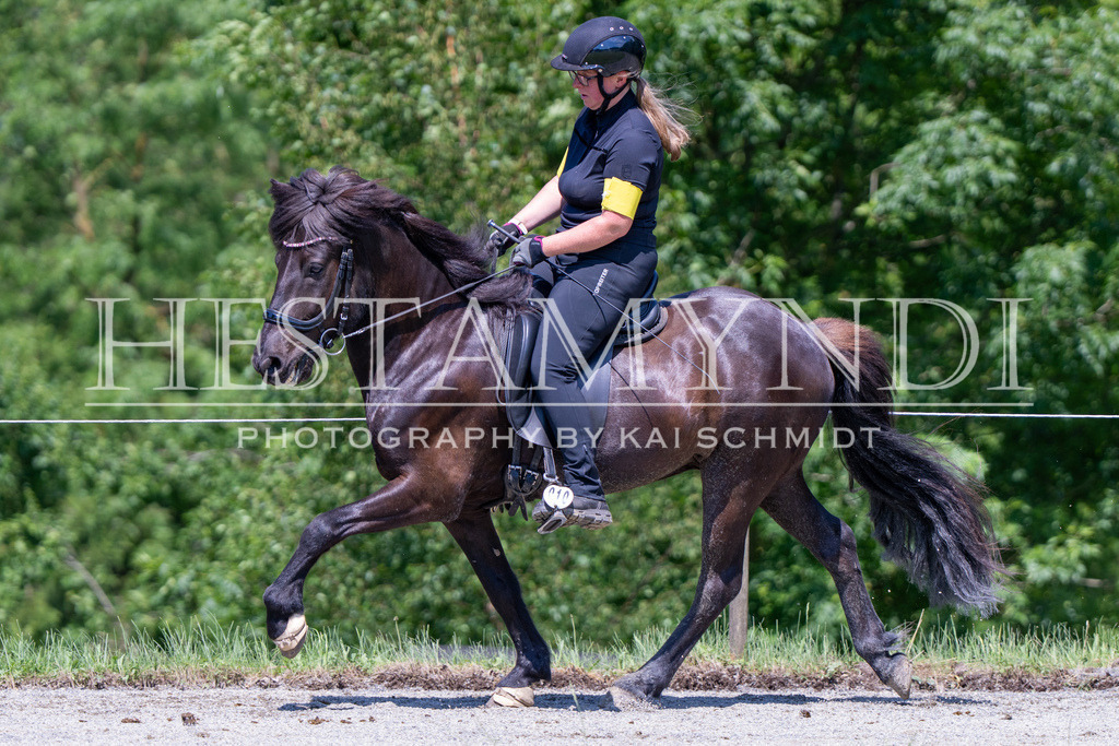 KAI04468 | Ihr sucht einen Fotografen für eure nächste OSI? Ich begleite auch euer Turnier für Islandpferde fotografisch.  - Realisiert mit Pictrs.com
