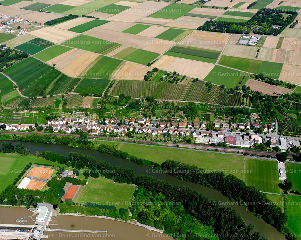 2501130 | Weinberge bei Klingenberg, Heilbronn