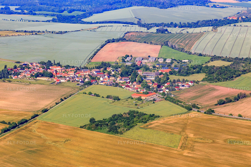 Luftbild: Dorfansicht aus Osten im Ortsteil Endorf in Falkenstein im Bundesland Sachsen-Anhalt in Deutschland. Foto: IMG_148178.jpg vom 12.06.2025 durch Werner Riehm/FLY-FOTO.de