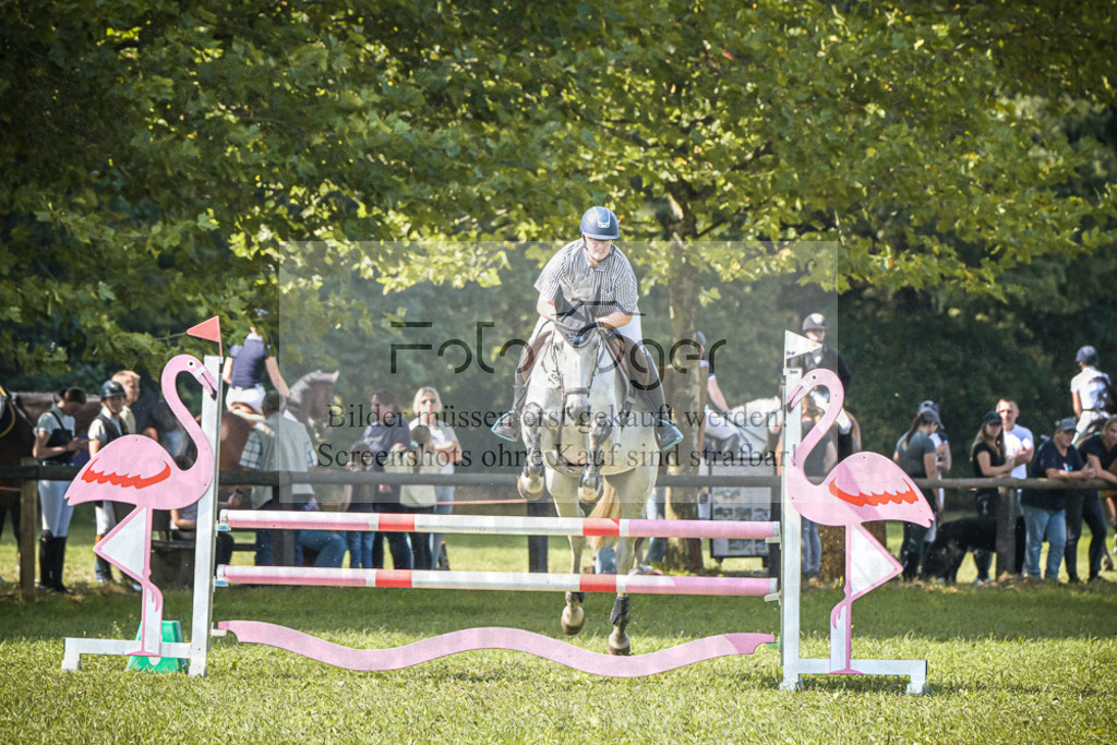 DOS_0012 | Entdecke hochwertige Reitturnierfotos von Foto Oger. Professionell, emotional und authentisch – jetzt Lieblingsmomente im Shop bestellen.Deutschlandweite Turnierfotografie. - Realisiert mit Pictrs.com