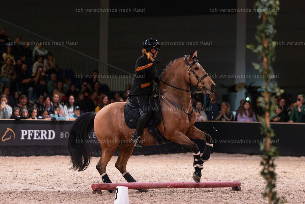 JoseraCup-212 | working equitationturnier fotograf videograf stoibphotography marixx film working equitation deutschland reitsport turnierfotografie eventfotografie equestrian events