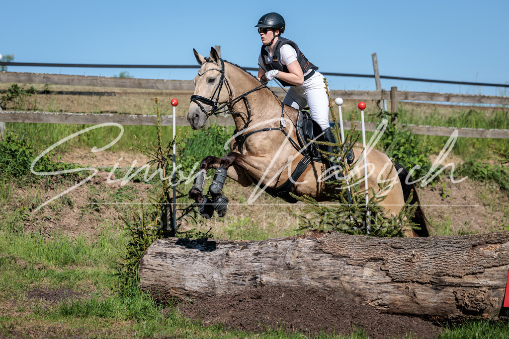 20260523-_3LI6581 | Tierfotografie Pferde, Hunde, Katzen, Haustiere.
Turnierfotografie Reitturniere, Reiten, Springreiten, Dressur in Hanau, dem Main-Kinzig-Kreis und dem Rhein-Main- Gebiet um Frankfurt