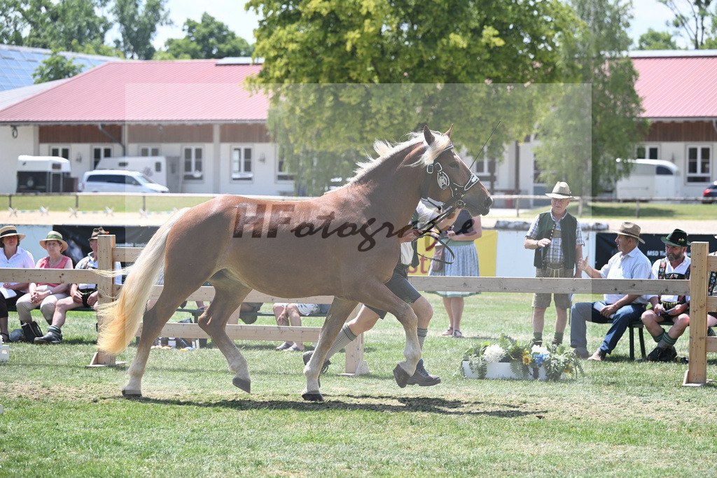 Kat-Nr. 54 Elsa_Albrecht_20230863 | hf-fotografie - Realisiert mit Pictrs.com