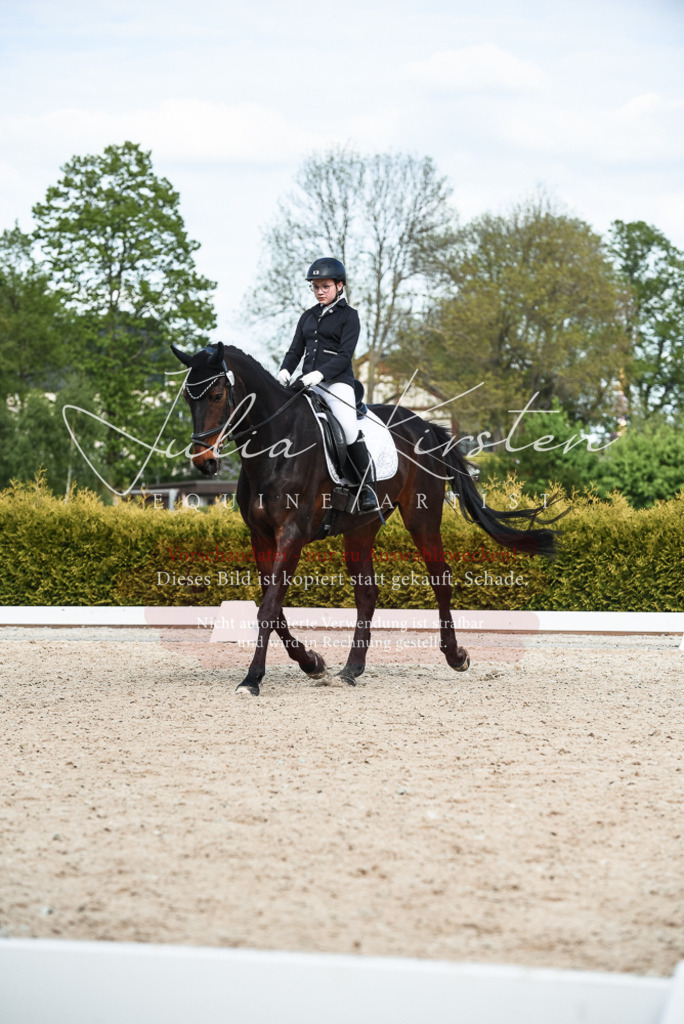 20230518_JK-Röhrsdorf-12-0743 | Pferde- und Turnierfotografie in Westsachsen. Pferdeportraits, Auftragszeichnungen und intuitive Kunst.