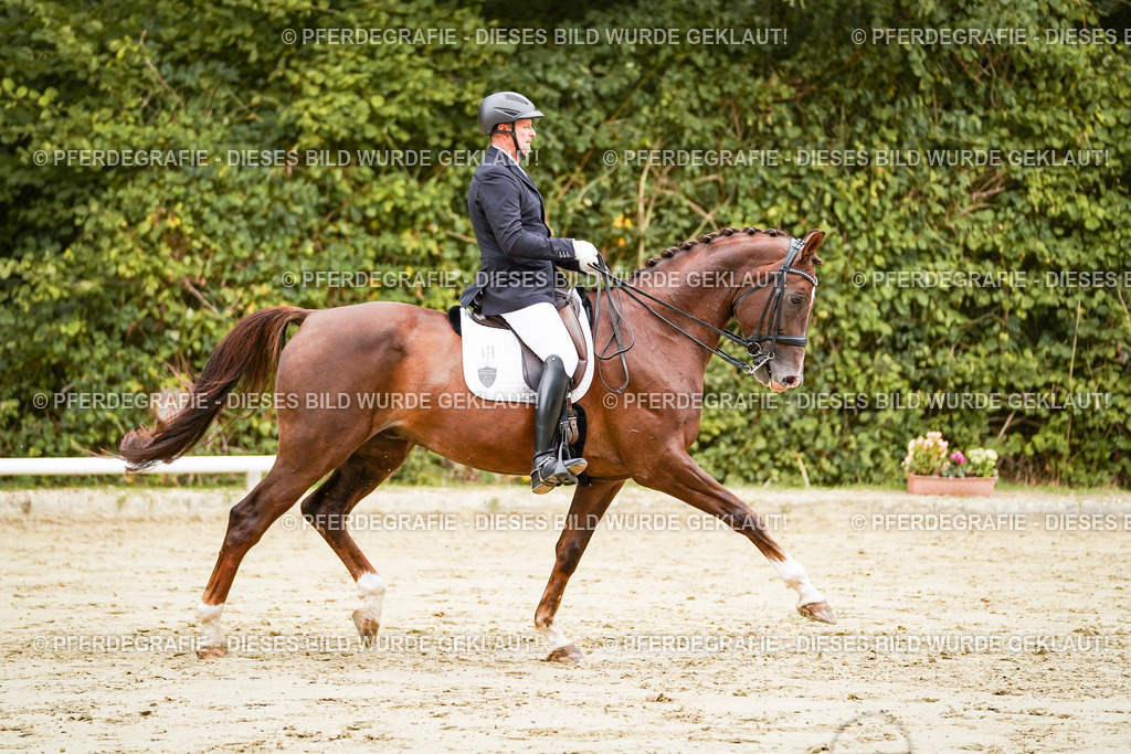 DSC03699 | Pferdegrafie