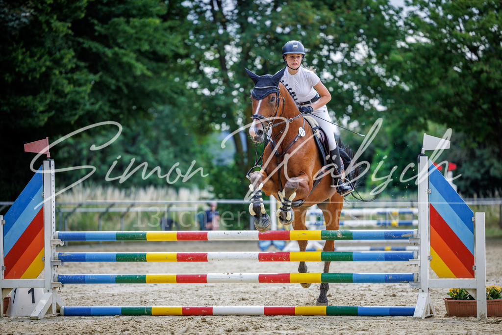 20260705-_3LI4585 | Tierfotografie Pferde, Hunde, Katzen, Haustiere.
Turnierfotografie Reitturniere, Reiten, Springreiten, Dressur in Hanau, dem Main-Kinzig-Kreis und dem Rhein-Main- Gebiet um Frankfurt