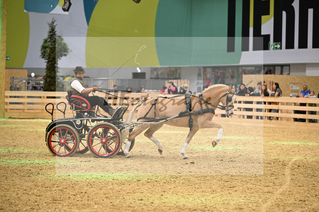 Schauprogramm_DSP Daria_1261158 | hf-fotografie - Realisiert mit Pictrs.com