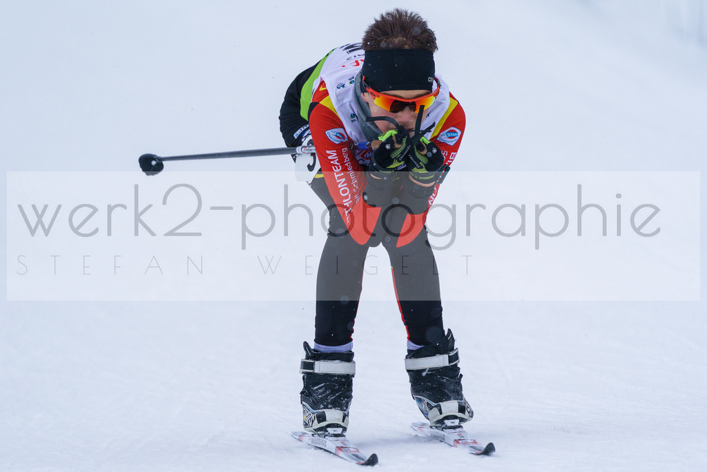 DSC Arber | Bayerischer Wald am 9. bis 12. Februar 2023
