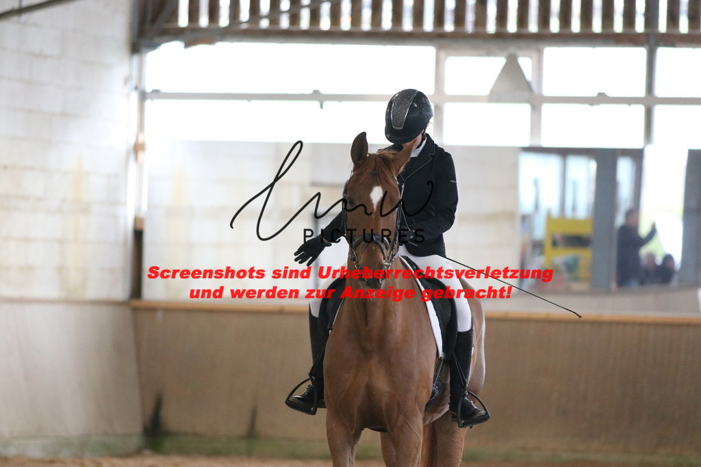 IMG_7801 | lmwpictures - Realisiert mit Pictrs.com