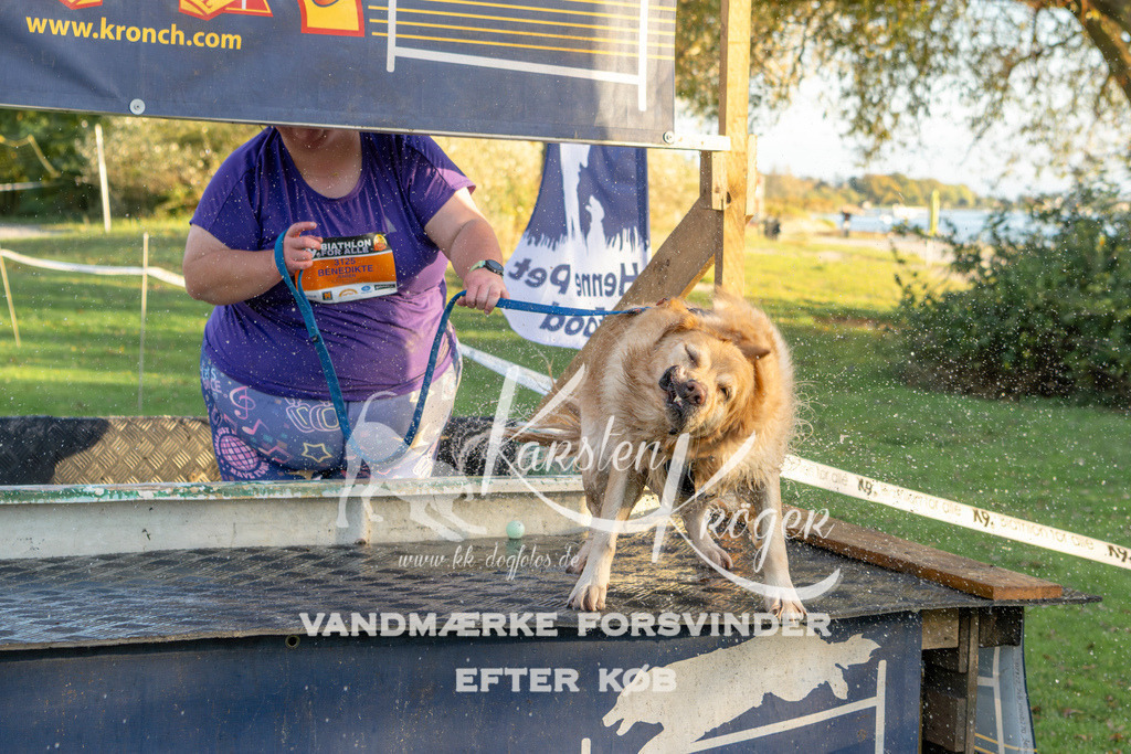 1710_ZZ90788 | kk-dogfotos