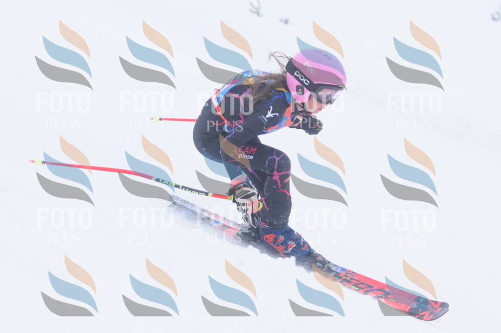 C2466 | holidayphoto