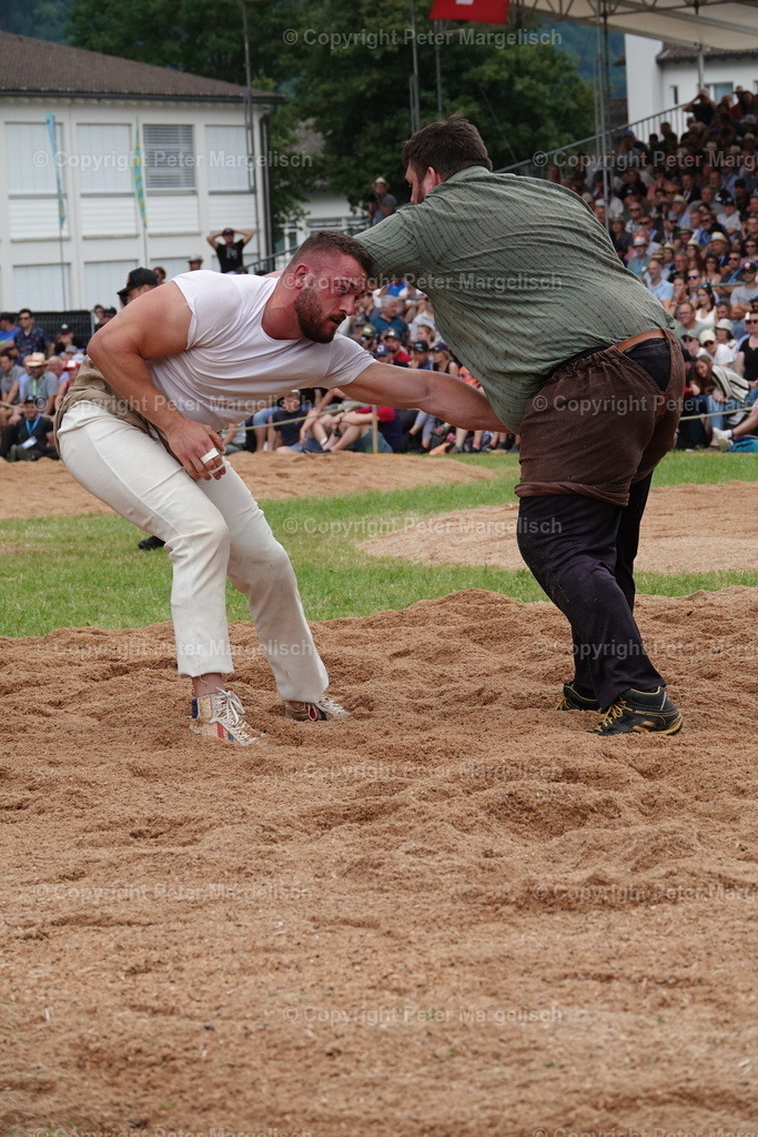 DSC01260 | Schwingen - Realisiert mit Pictrs.com