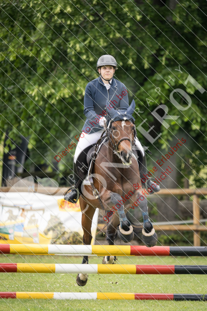 IMG_2672 | Sport-, Event- und Tierfotos in Profiqualität. Einfach auswählen, bestellen und herunterladen. Dein Moment – perfekt festgehalten.