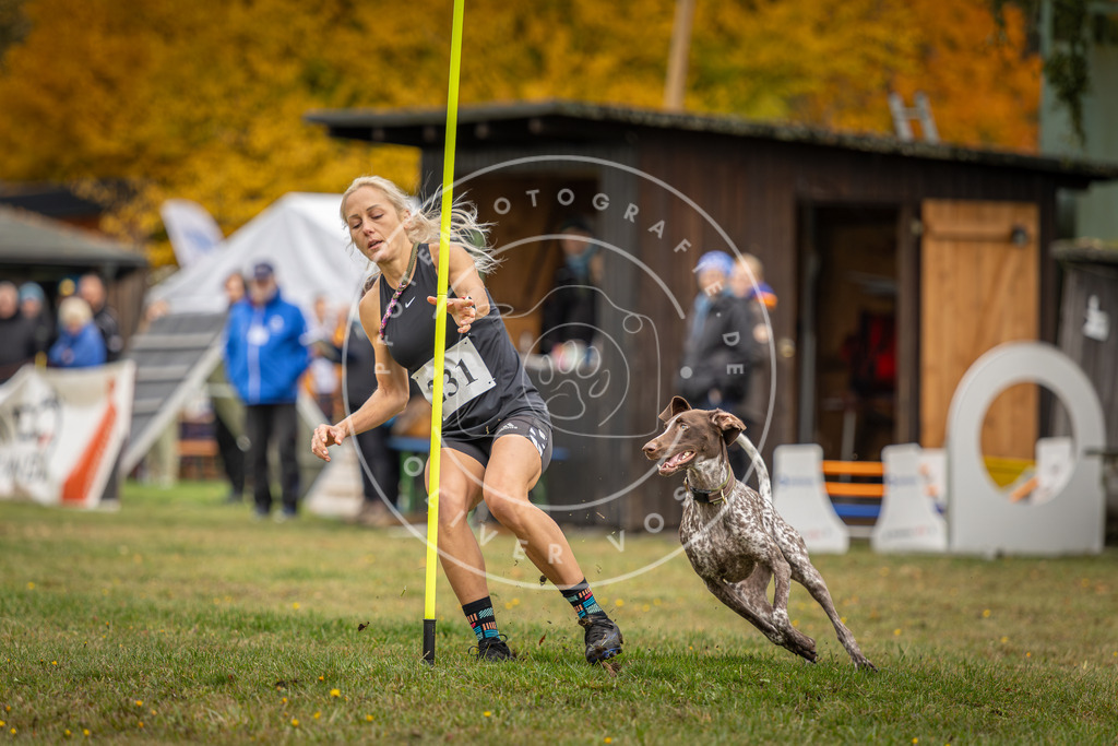 Pfotenfotografie_DV3A3342 | Hundefotografie, Tierfotograf, Pfotenfotografie, Fotoshooting Hund, Hunde Portrait, Hundesport, Hundeportraits, Heideshooting, Hunde, Sportfotograf, Hundefotograf, Turnierhundsport, THS,  - Realisiert mit Pictrs.com