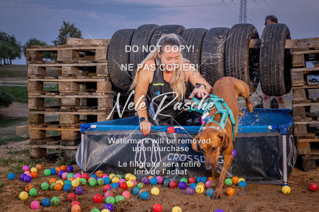 nelerasche_SummerNights26_Sa2100-2130_56 | nelerasche