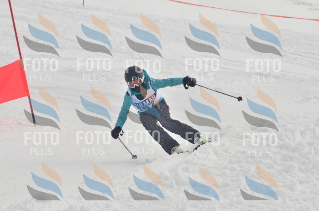 A5558 | holidayphoto