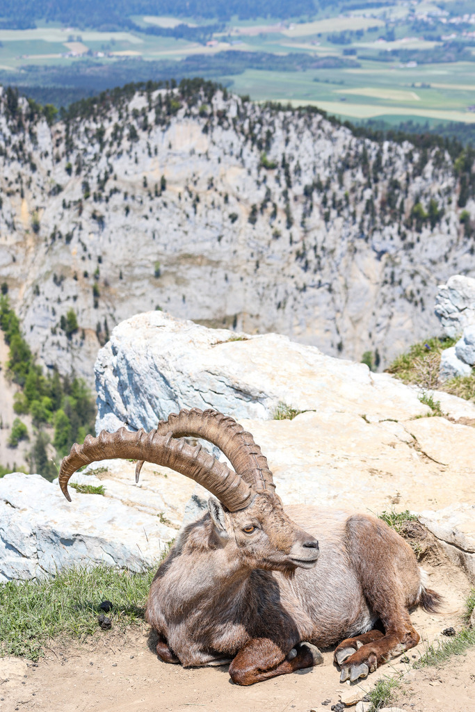 A.Trupina-44 | antonija-trupina - Realisiert mit Pictrs.com