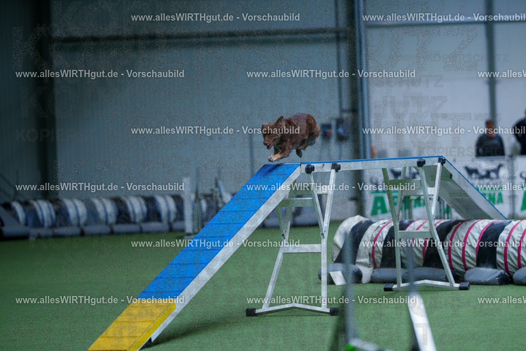 @allesWIRTHgut_Tierfotografie - www.allesWIRTHgut.de - 2604261140-7R500152 | Professionelle Tierfotografie in Mönchengladbach von Daniel Wirth (allesWIRTHgut). Liebevolle & natürliche Bilder von Hunden & Katzen für unvergessliche Erinnerungen.