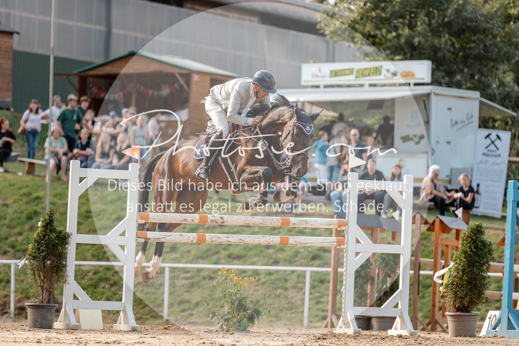 3I6A5294 | Stimmungsvolle Portraits und Reitsportfotografie im Ruhrgebiet und im Münsterland.

Pferdefotografie, Hundefotografie, Tierfotografie, Reportagen, Portraits von Tier und Mensch, Turnierfotografie in Bochum, Recklinghausen, Marl, Haltern am See, Dülmen.. - Realisiert mit Pictrs.com