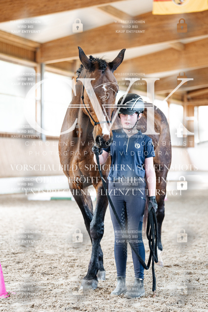 CK905789 | Turnierfotografie Pferdefotografie Trier Rheinland-Pfalz Pferdesport Reitsport Tierfotografie Sportfotografie Pferdevideo Pferdevideografie Equestrianvideography equestrianphotography  - Realisiert mit Pictrs.com