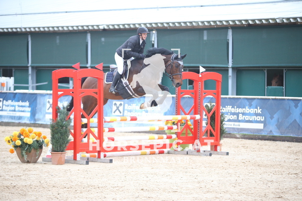 AS8V1754 | Willkommen bei Brunnmayr - Design & Fotografie – Ihrem Spezialisten für Reitturniere und Pferdeveranstaltungen in Oberösterreich, Salzburg und Bayern! Seit über 17 Jahren sind wir leidenschaftlich dabei.