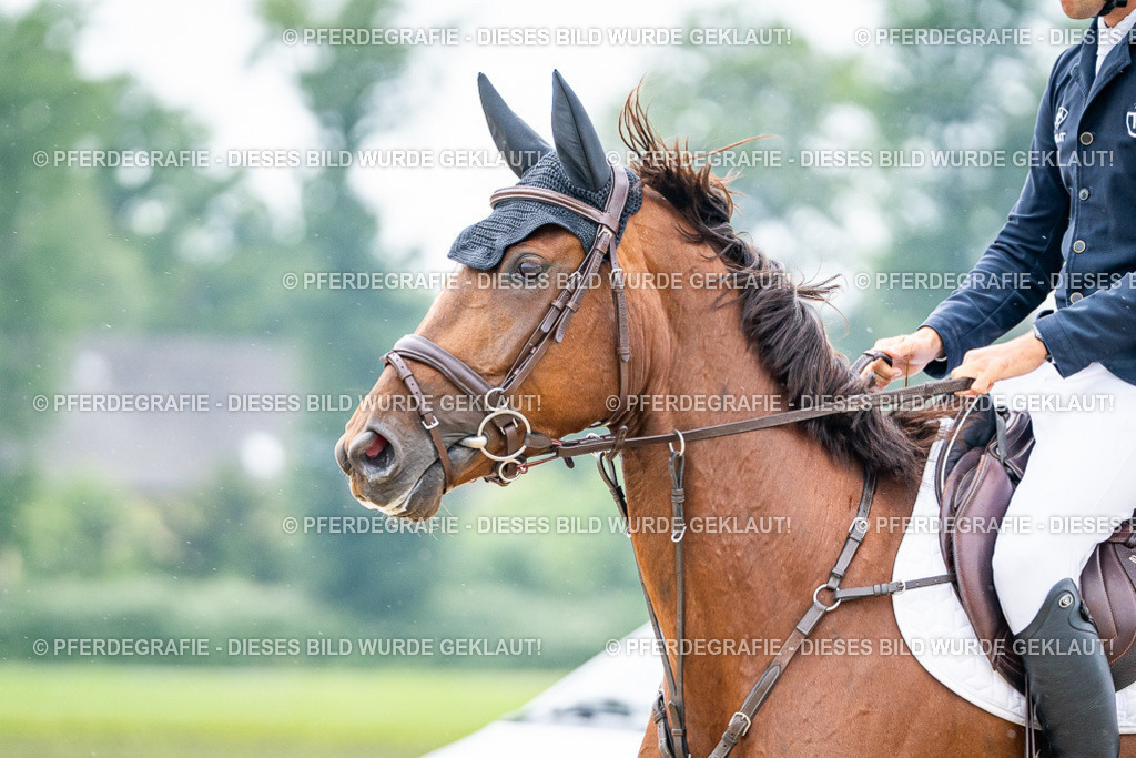 DSC00725 | Pferdegrafie