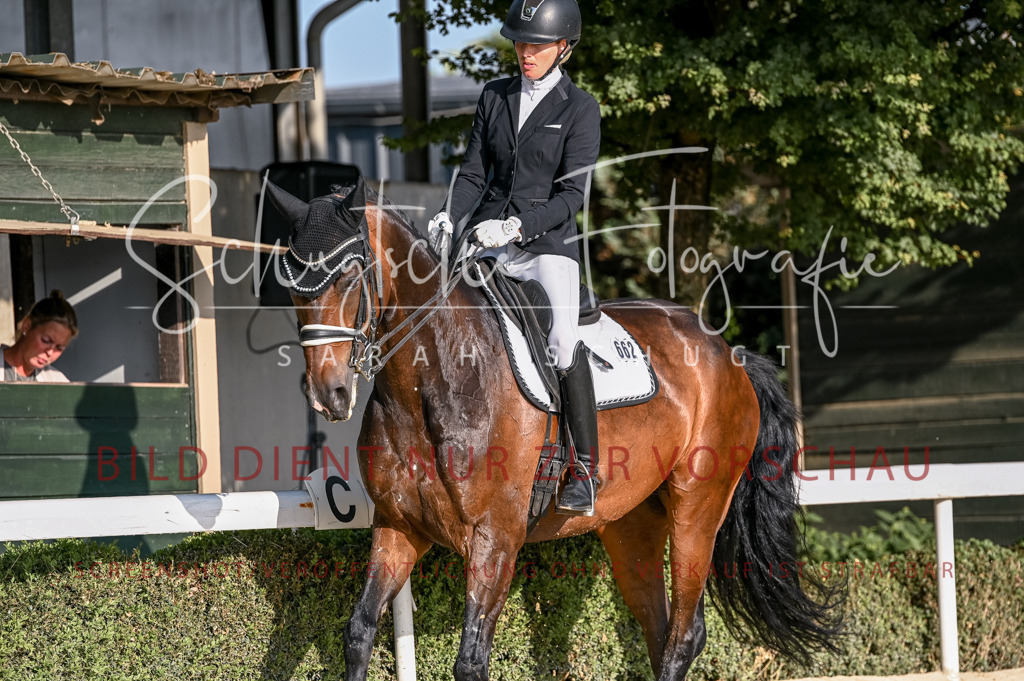 Schugtsche-Aluta25-52.Dressurprf.M2Kand-21 | Schugtsche Fotografie - Realisiert mit Pictrs.com