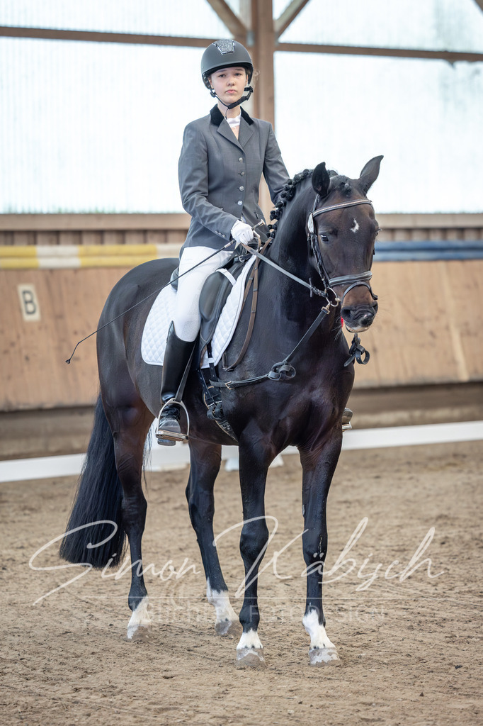 20251011-_3LI7837 | Tierfotografie Pferde, Hunde, Katzen, Haustiere.
Turnierfotografie Reitturniere, Reiten, Springreiten, Dressur in Hanau, dem Main-Kinzig-Kreis und dem Rhein-Main- Gebiet um Frankfurt