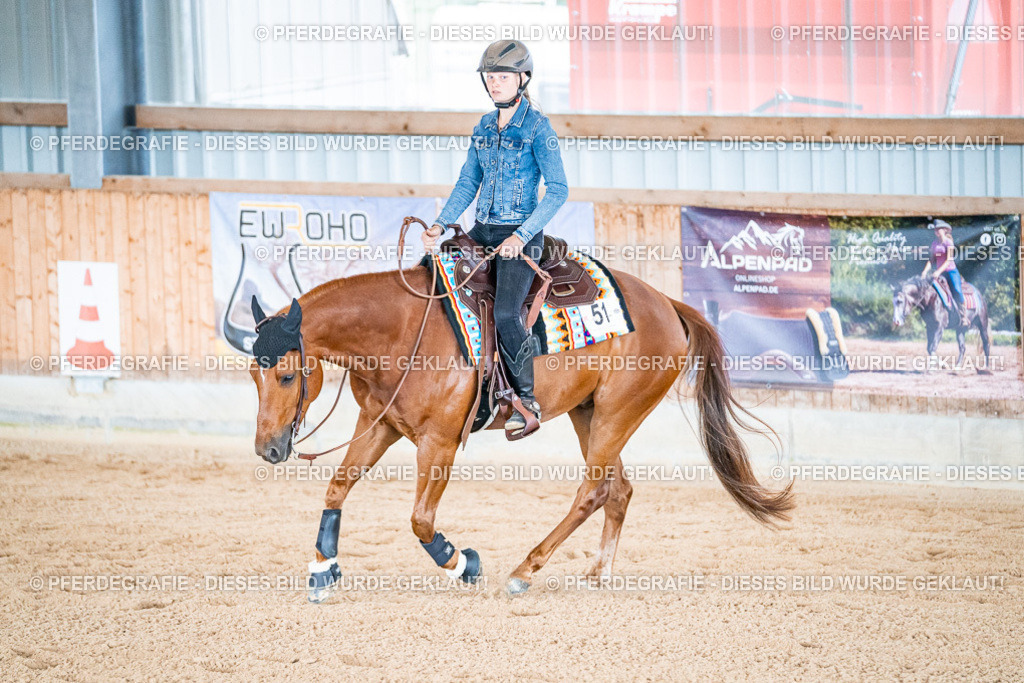 DSC09432 | Pferdegrafie