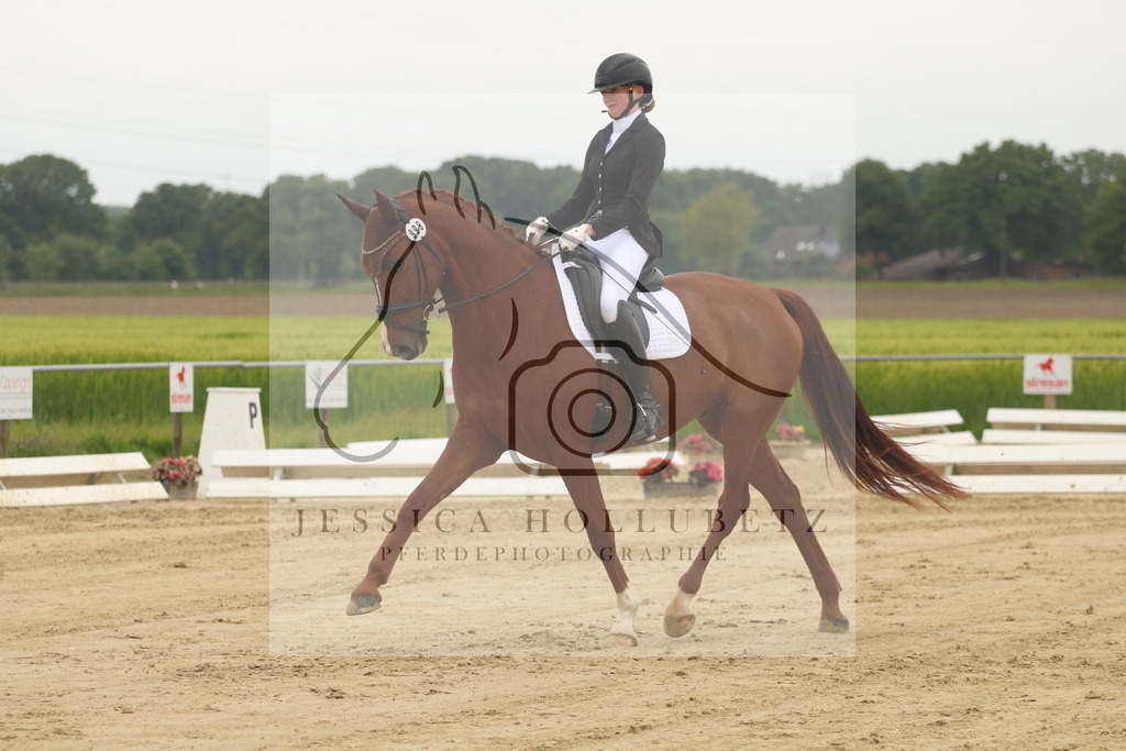 IMG_6747 | jessicahollubetz_pferdephotographie - Realisiert mit Pictrs.com