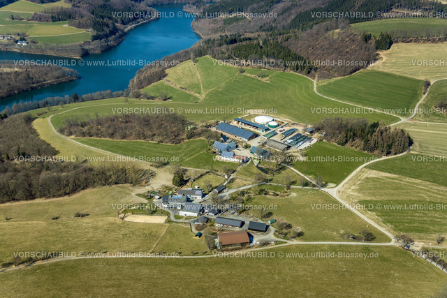 Meschede220302884 | Luftbild, Hennetalsperre, Kotthoff Milchviehbetrieb sowie Xavers Ranch mit Solardach in Vellinghausen, Remblinghausen, Meschede, Sauerland, Nordrhein-Westfalen, Deutschland