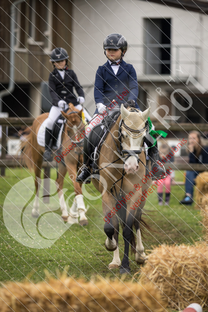 IMG_2021 | Sport-, Event- und Tierfotos in Profiqualität. Einfach auswählen, bestellen und herunterladen. Dein Moment – perfekt festgehalten.