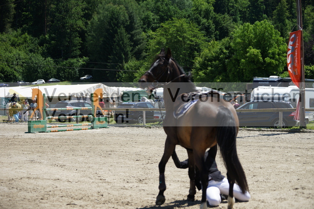 DSC09185 | equestrian-live-com